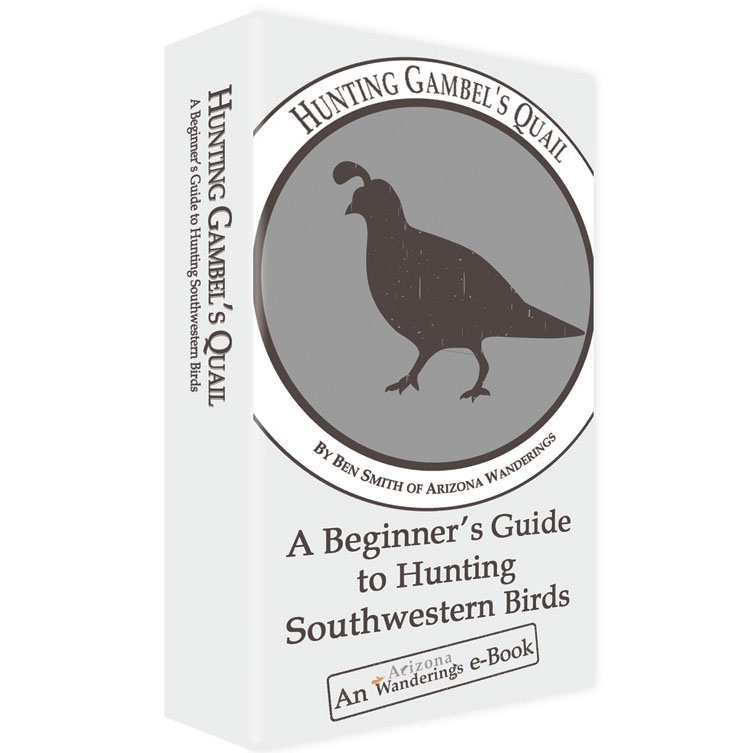 Hunting Gambel's Quail Ebook