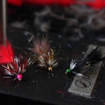 Frye Creek Special (12 pack)